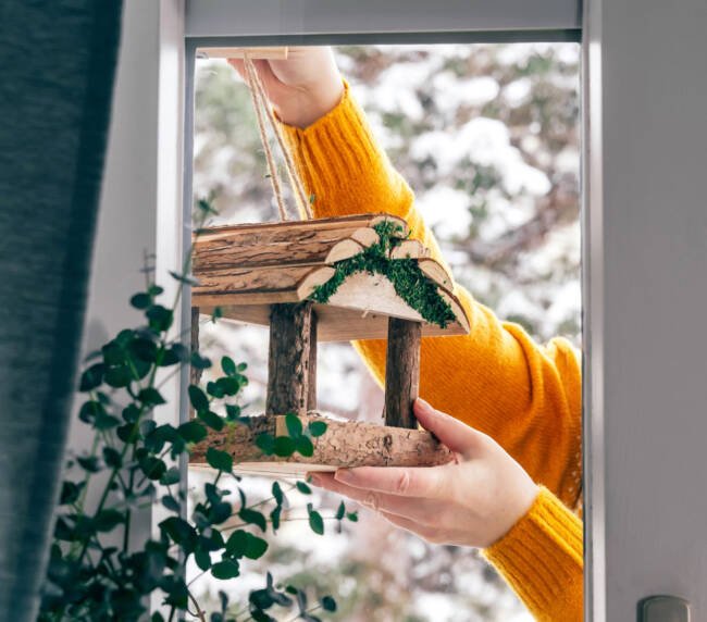 category-image7-copyright-650x572